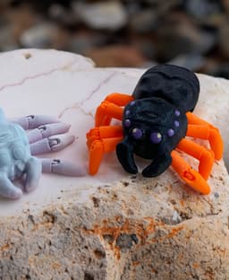 Teal Cat Creative Skeletorus Spider.stl 3d model