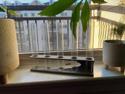 Test tube Propagator Holder 3d model