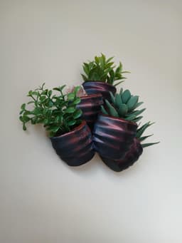 Multi-Level Succulent Planter Wall Hanging 3d model