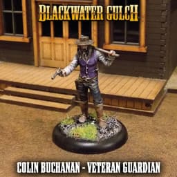 Colin Buchanan - Veteran Guardian 3d model
