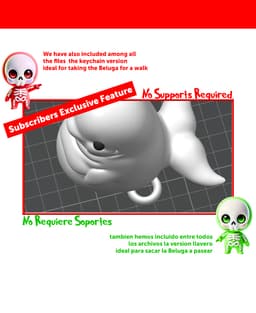 Beluga Whale 3d model