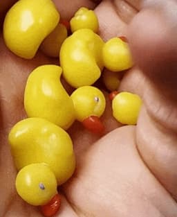 Vintage Rubber Duck 3d model
