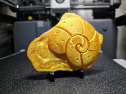 Pokemon Fossils - Charmander, Pikachu, Helix 3d model