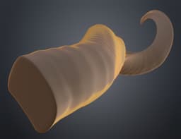 Kudu horns 3d model