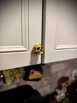 Skull drawr pull 3d model
