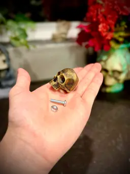Skull drawr pull 3d model