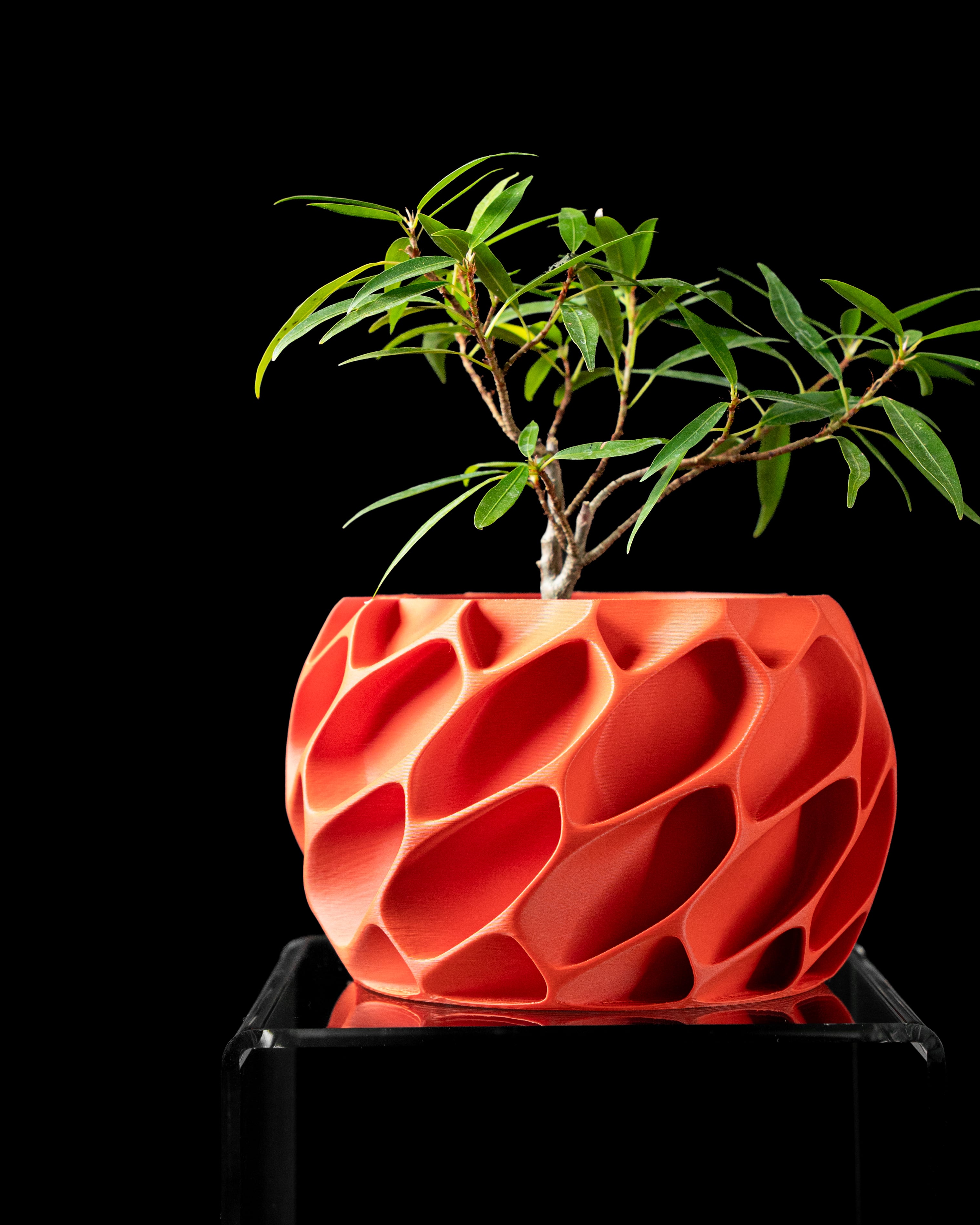 Exo Planter Pot by MODERN MACHINE 3d model
