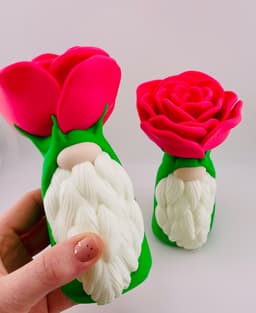 Rose Gnome 3d model