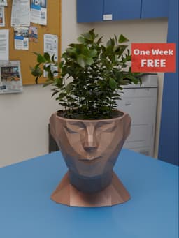 Scornful Face Planter 3d model