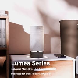 Lumea The Scream Edvard Munch – A Masterpiece in Light and Shadow 3d model