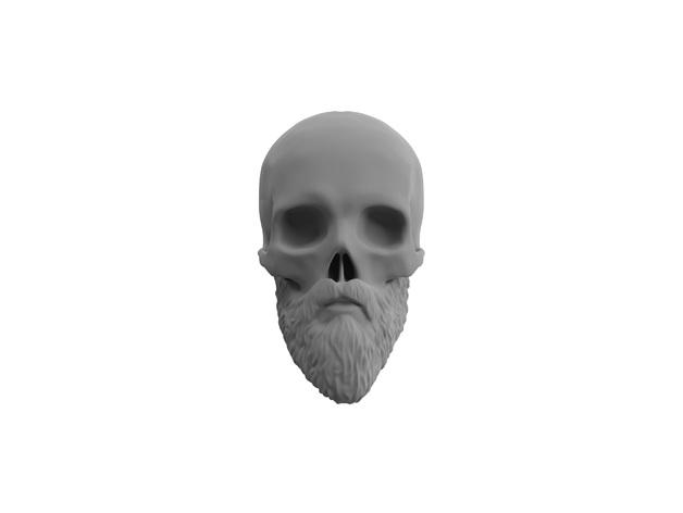 Skull with Beard (updated) 3d model