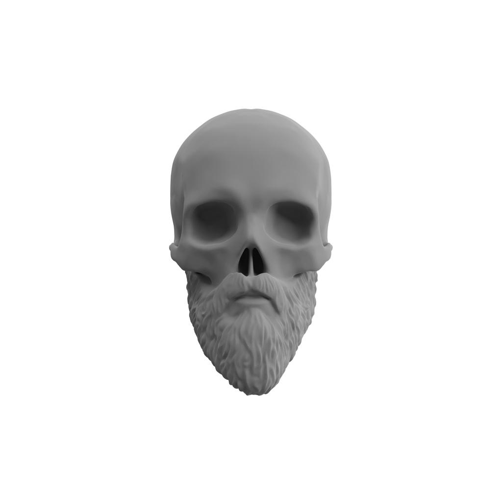 Skull with Beard (updated) 3d model