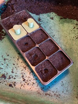 Charles Dowding Seed Tray Tool Kit β Dibber, Tamper, Spork & More 3d model