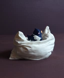 Cushion trays 3d model