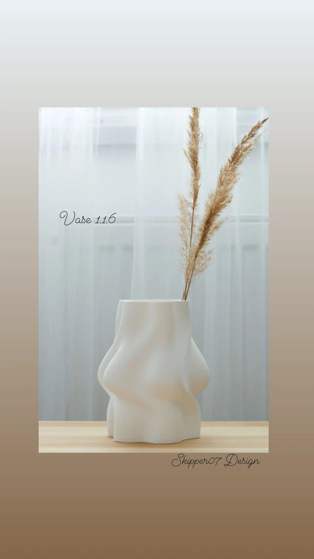 Vase 1.1.6 3d model