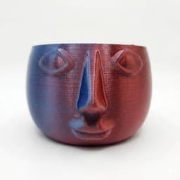 FacePot_PrintStart3D.stl 3d model