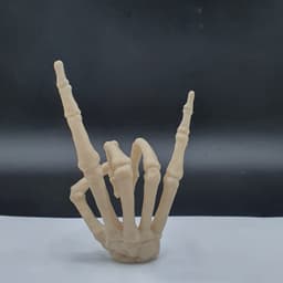 SKELETON HAND HORNS ROCK AND ROLL 3d model