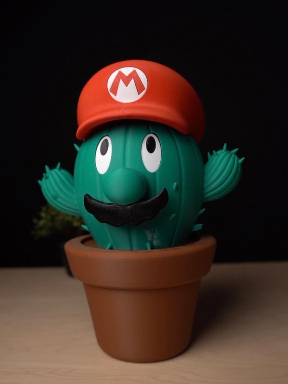 Mario Cactus Container 3d model