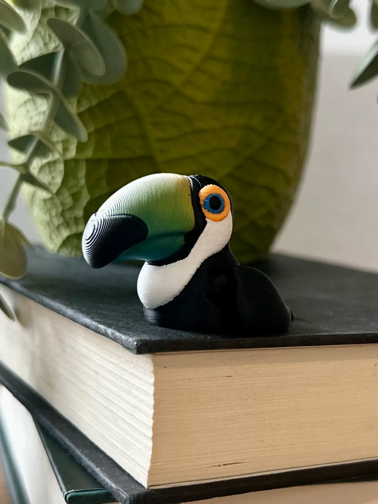 Stop! Omg look how perfect this tricolor filament worked for his huge beak! It is just perfect!!!!