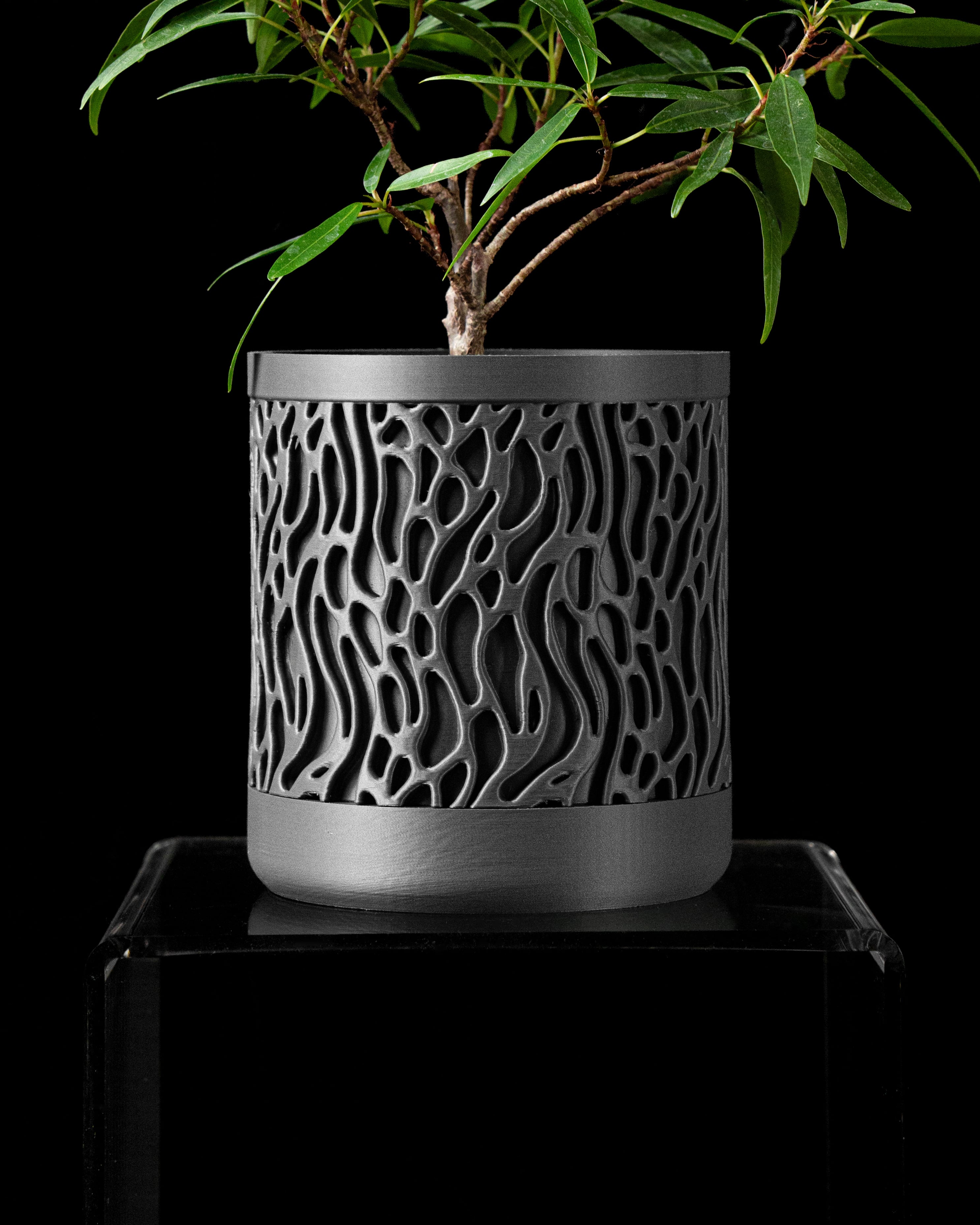 Grove Planter w/Wall Attachment by MODERN MACHINE 3d model