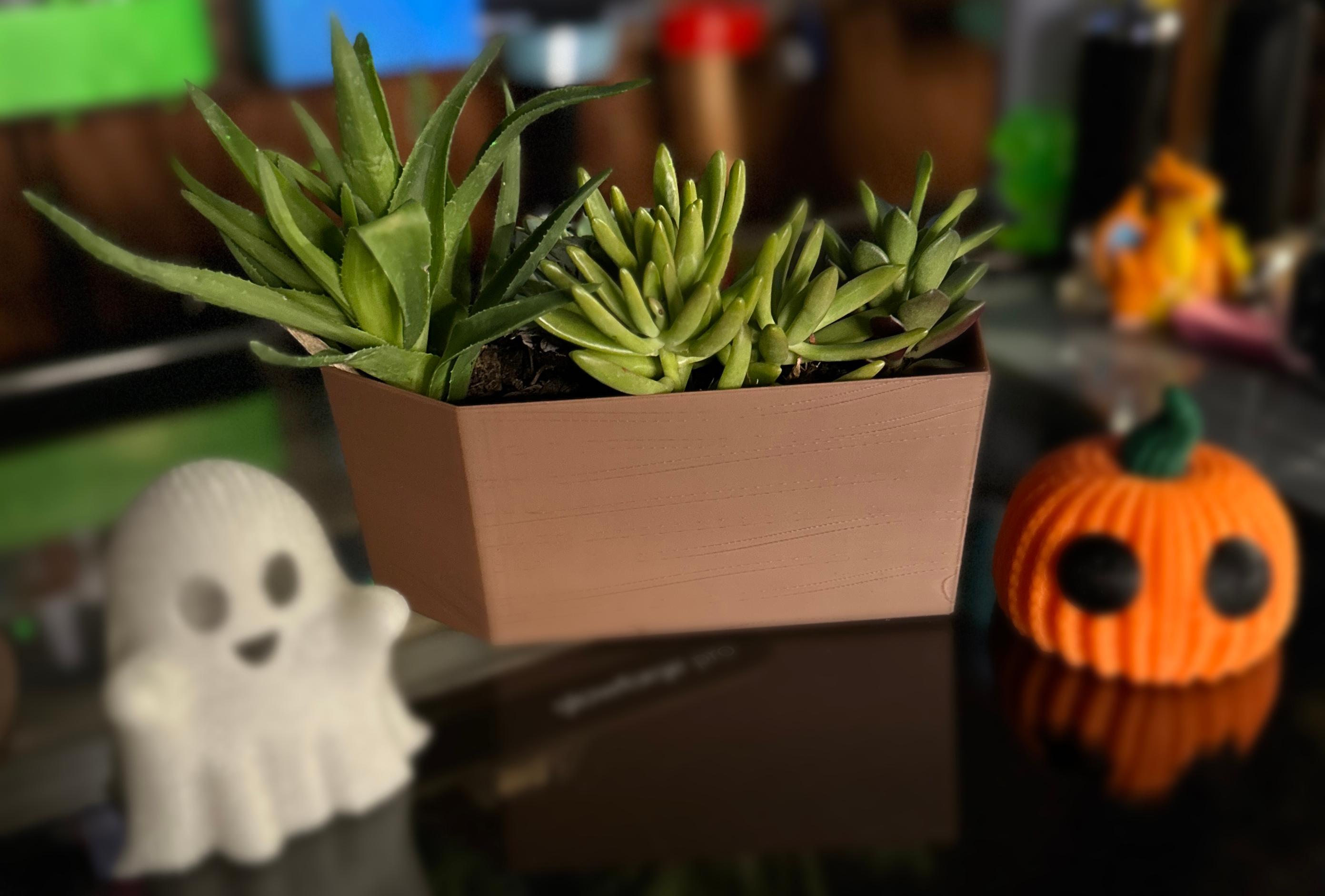 coffin succulent planter with wood texture.stl 3d model