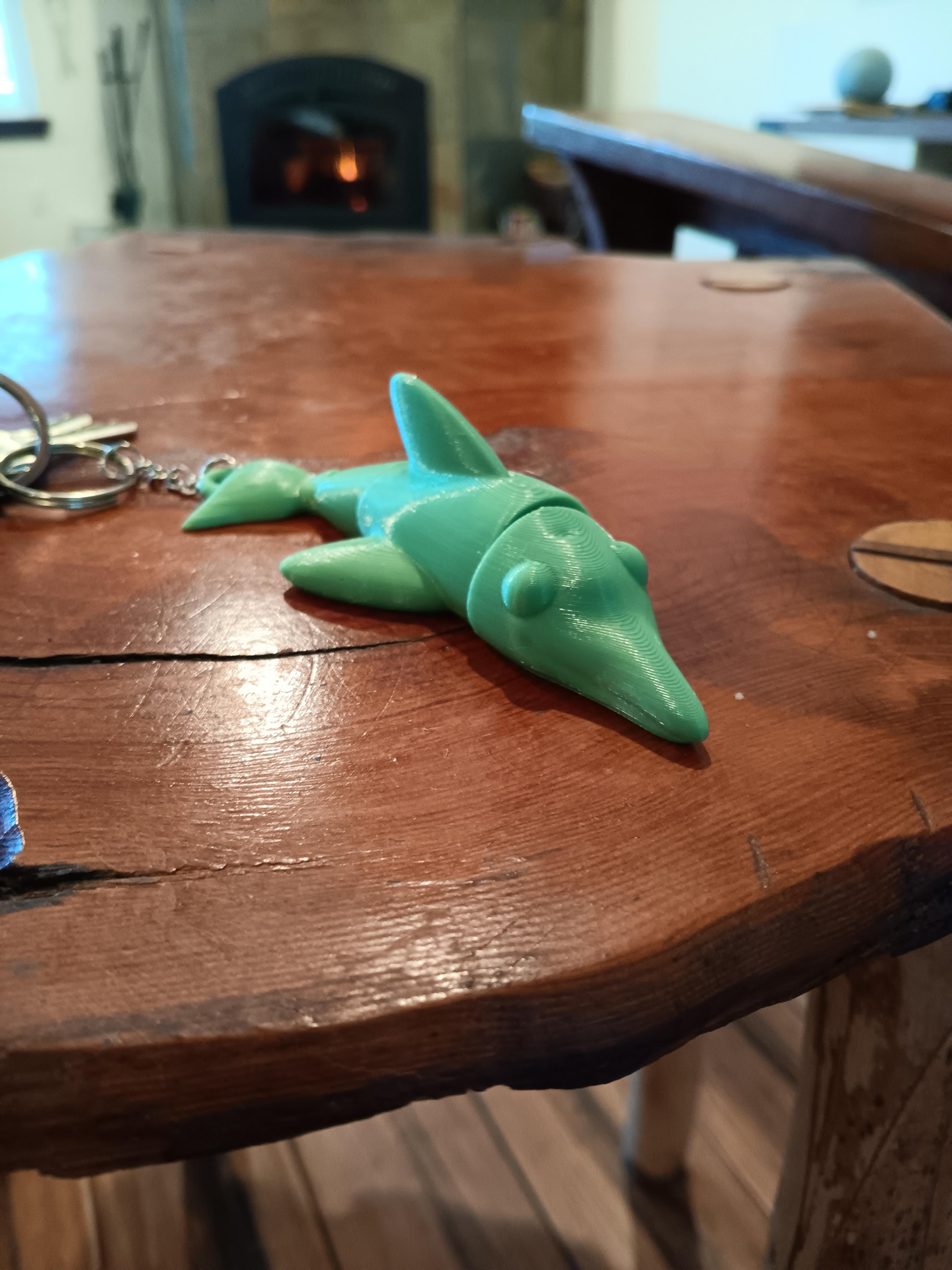 Flexi Dolphin Key chain - print in place - articulated - flexi fidget toy 3d model