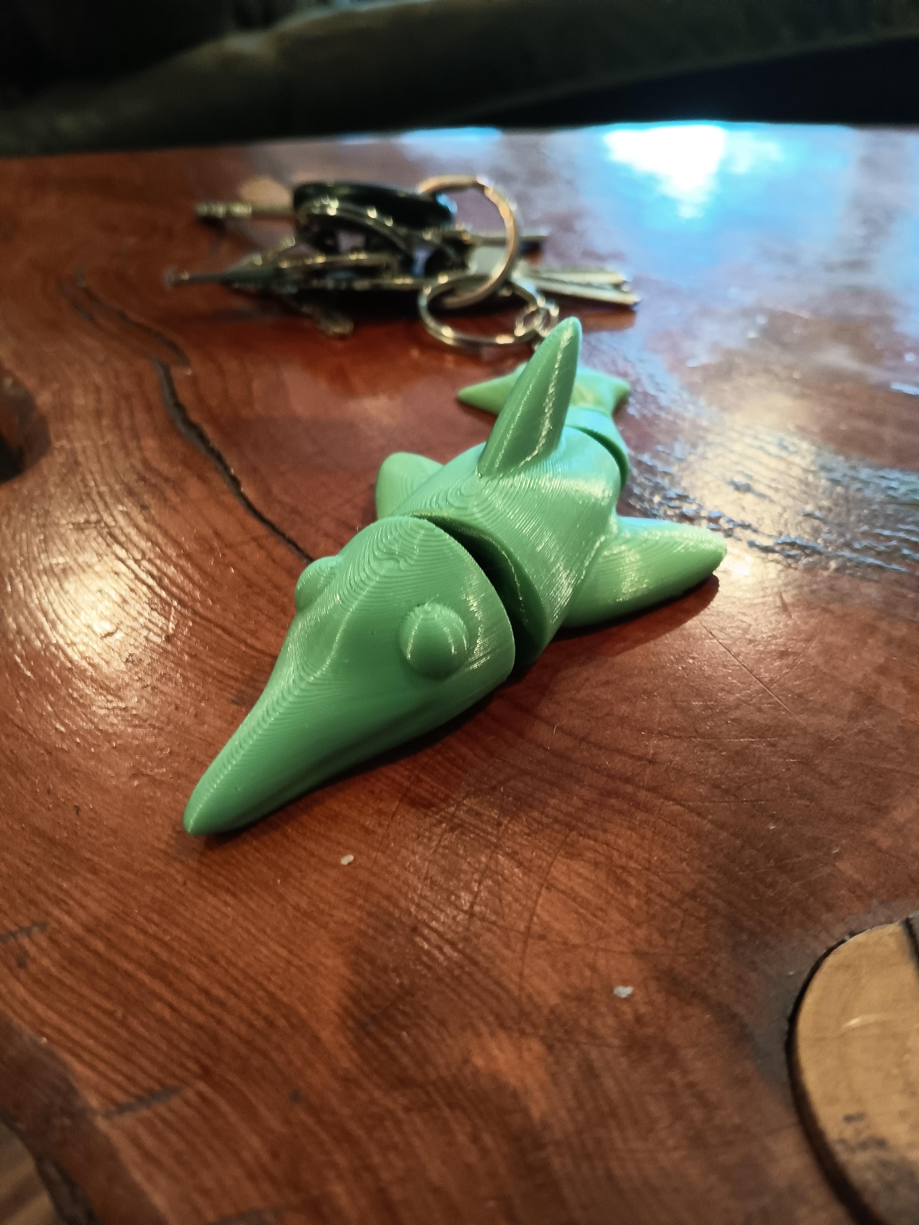 Flexi Dolphin Key chain - print in place - articulated - flexi fidget toy 3d model