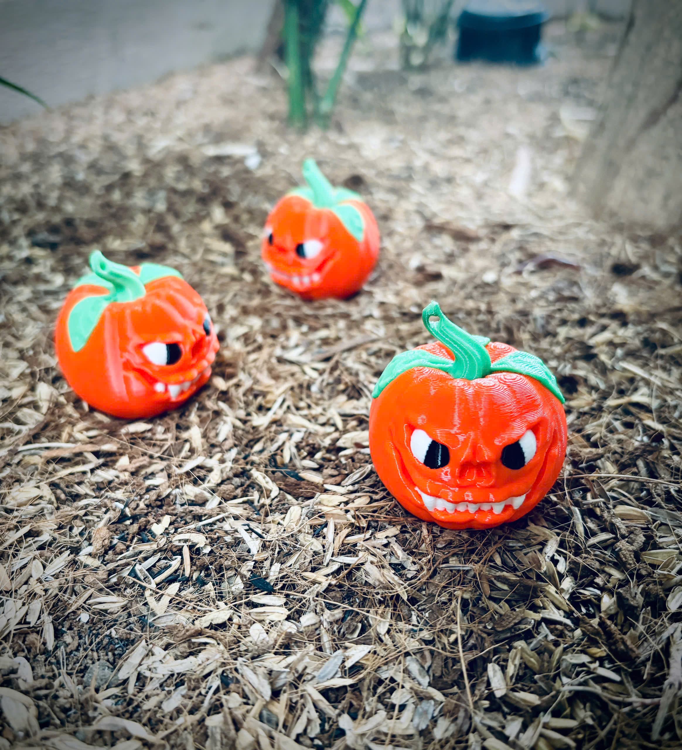 Scarry and cute!