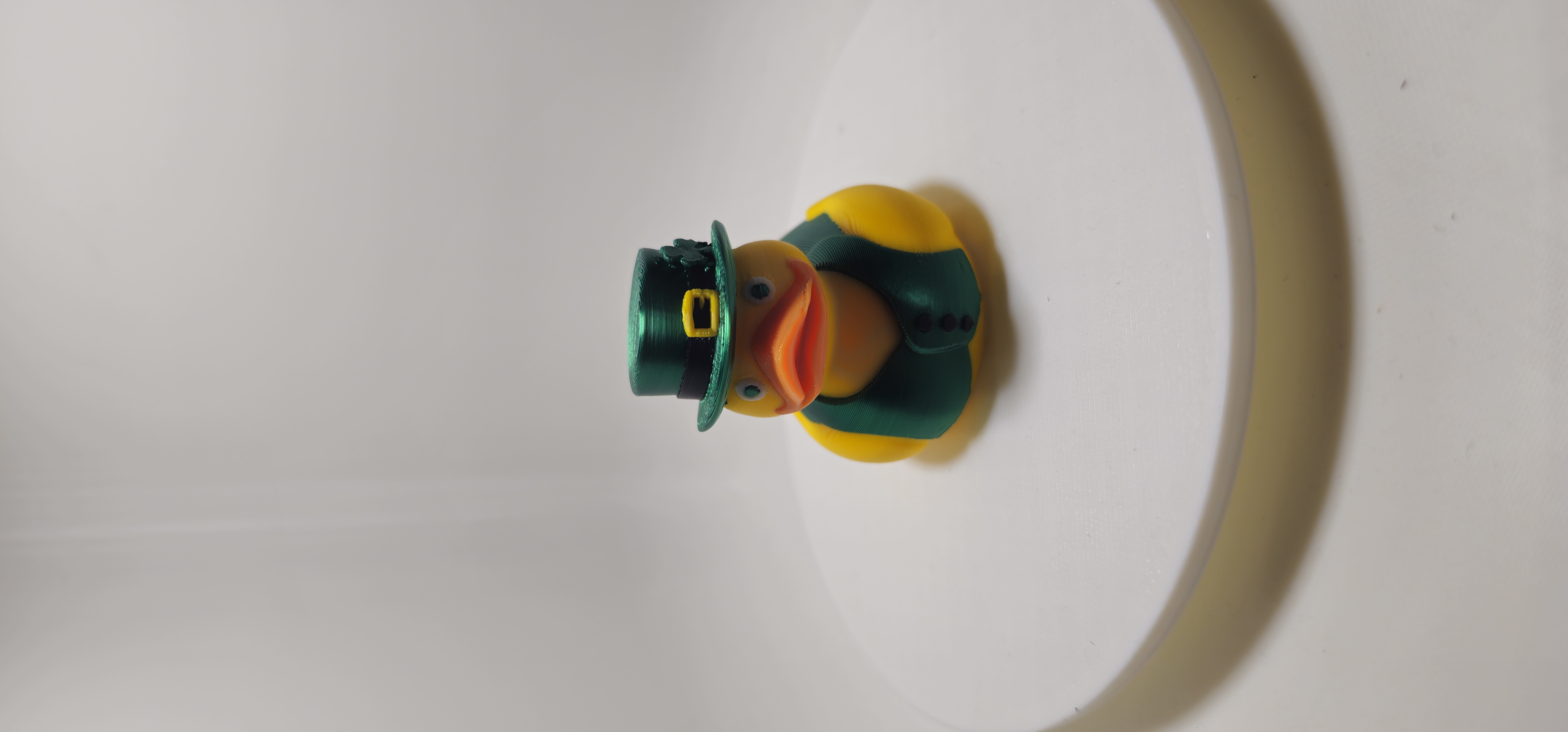 3 Leaf St Pat Duck 3d model