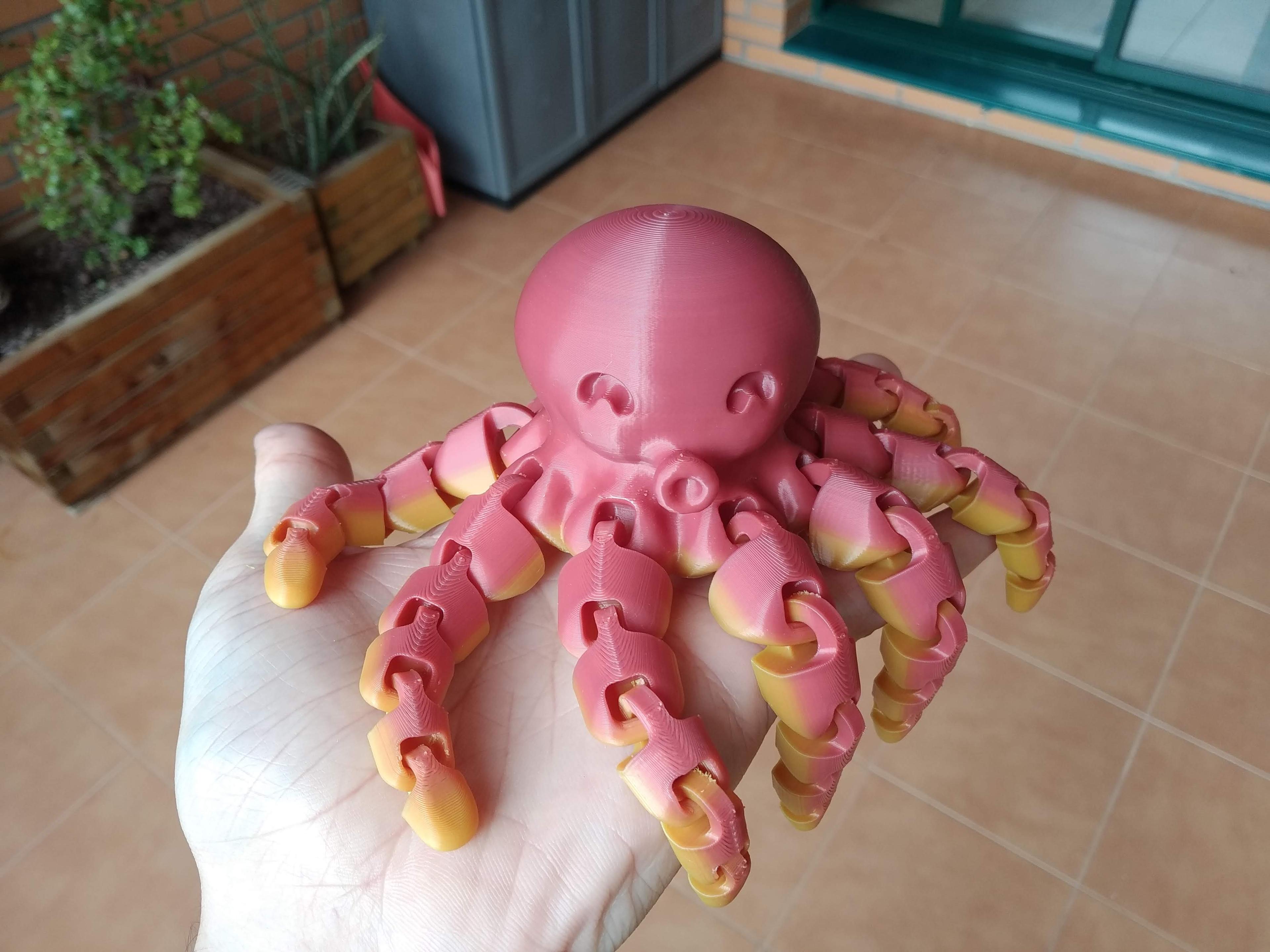 Cute Mini Octopus 3d model