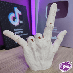 Articulated Hand ( No Supports ) 3d model