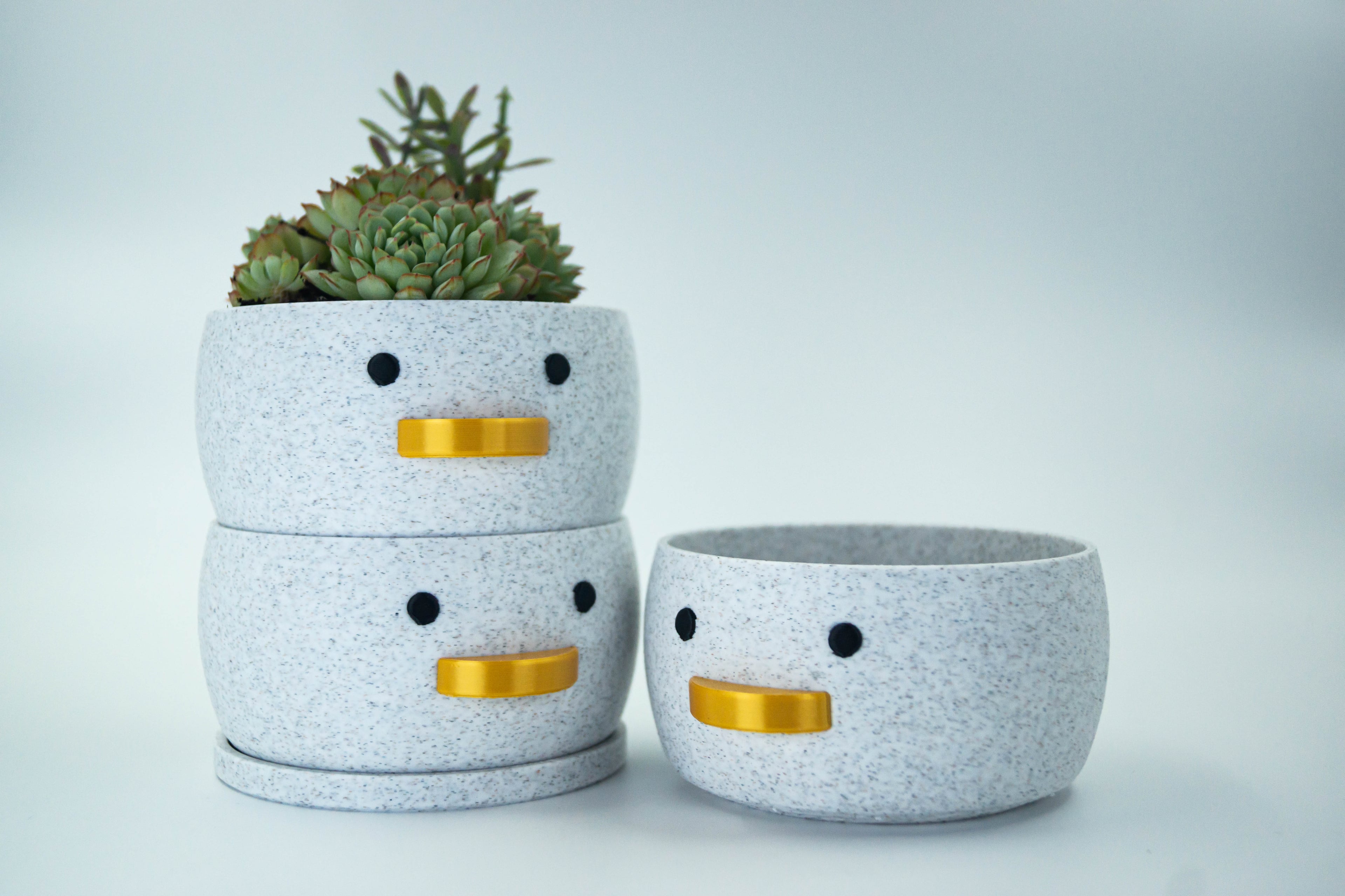 Mini Duck Planter 3d model