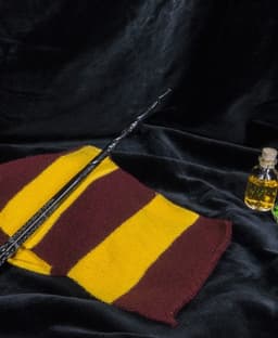 Sirius Black’s Wand - Harry Potter 3d model