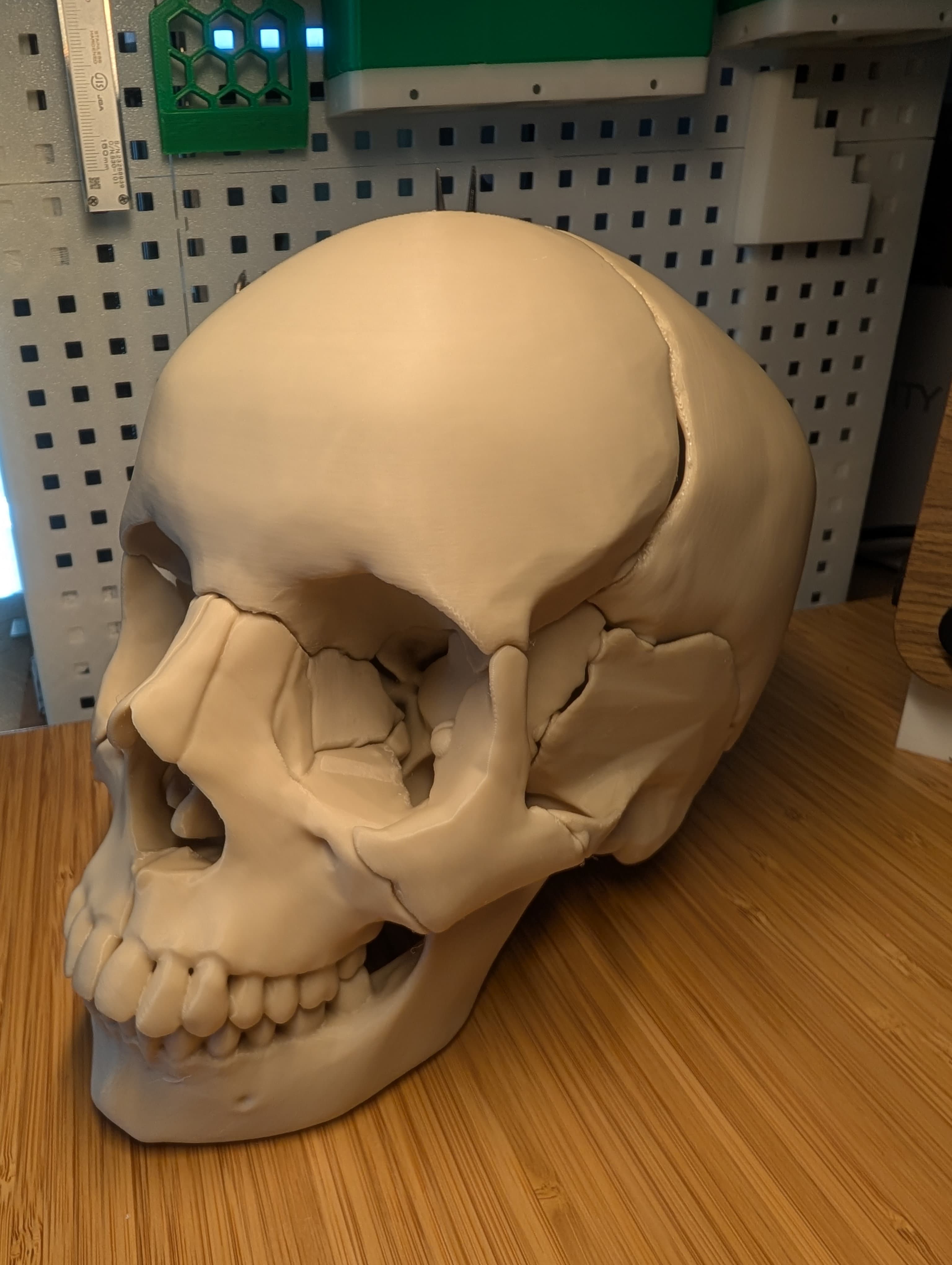 Excellent model, the missing magnet cup on the Right Parietal Bone does not make any notable difference in the strength. Printed on a Bambu P1P, 0.4mm nozzle using 0.16mm Optimal settings in Orca slicer. 10% gyroid infill with tree supports used ~500g of MH Build series PLA in Bone White. Total print time was ~ 22h with 21mm^3 max vol. flowrate.
During assembly I found that the large magnet pockets could fit two 6x2mm magnets stacked, and the small could fit a 3x1.5mm magnet. If I did it again I'd order 6x4mm magnets for the larger pockets. All were sourced from Amazon, no issues with holding power.
