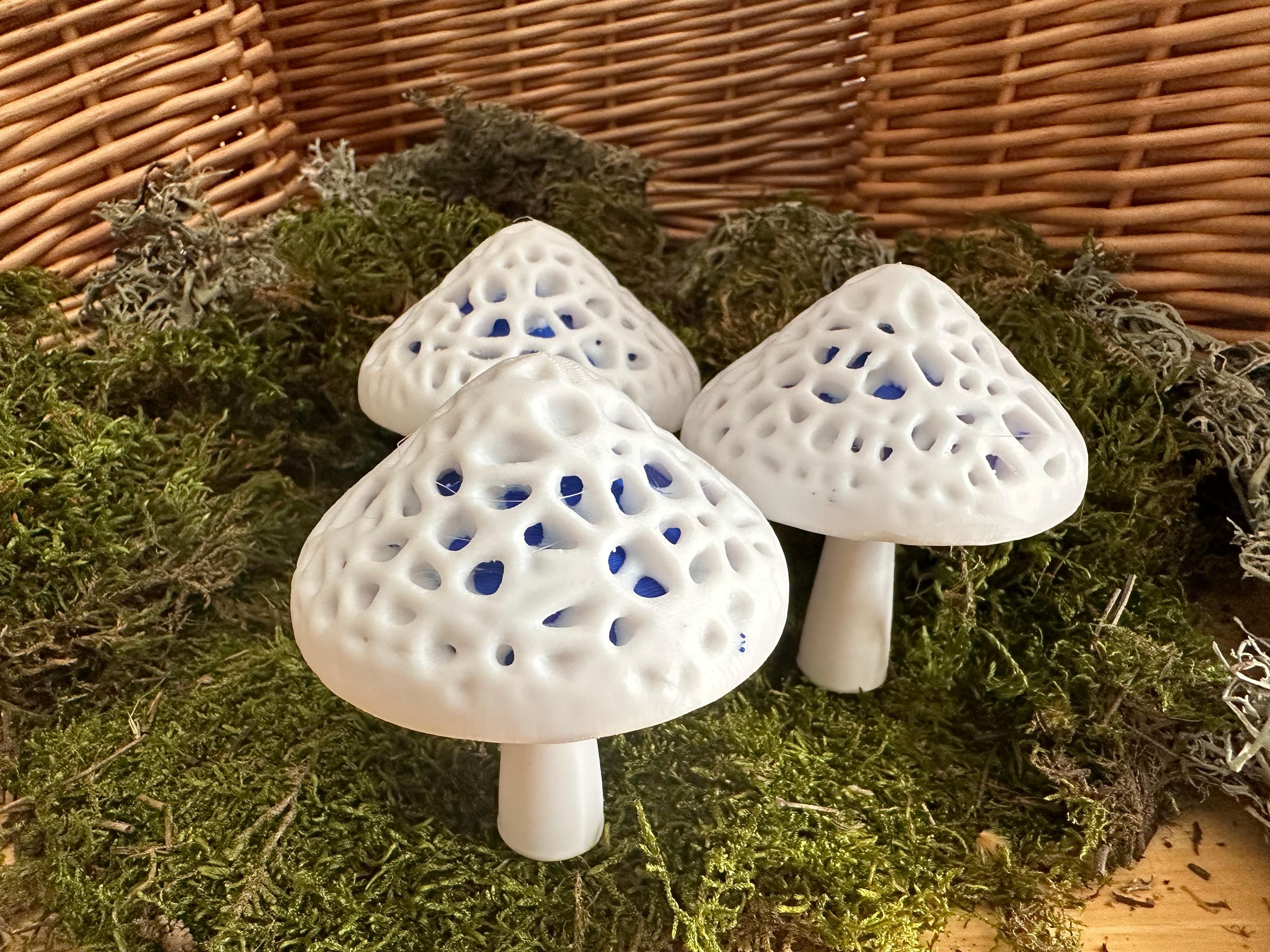 Dual Colour Modular Mushroom Caps (Stochastic) 3d model