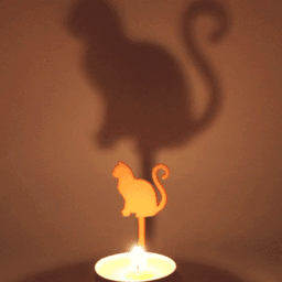 Animal Cat Curly 3d model