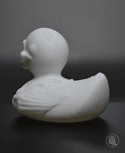 Halloween Skeleton Duck 3d model