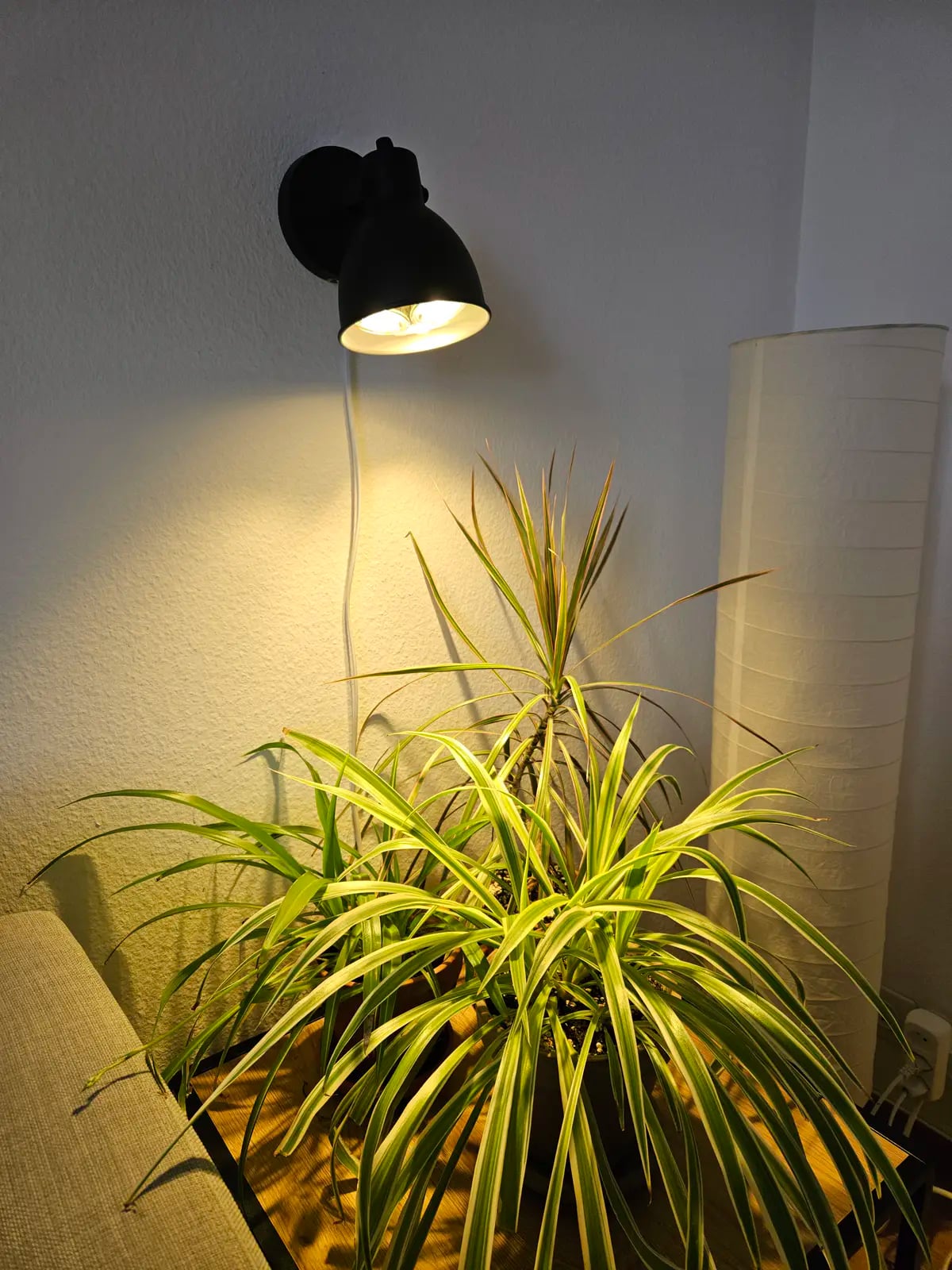 Spot Light Plant Lamp Mod.step 3d model