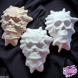 Veiled Skull 3d model