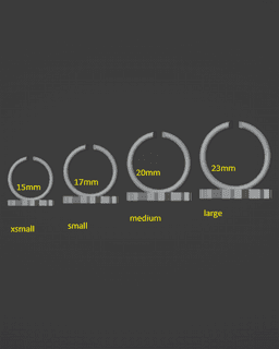 Spider Ring 3d model
