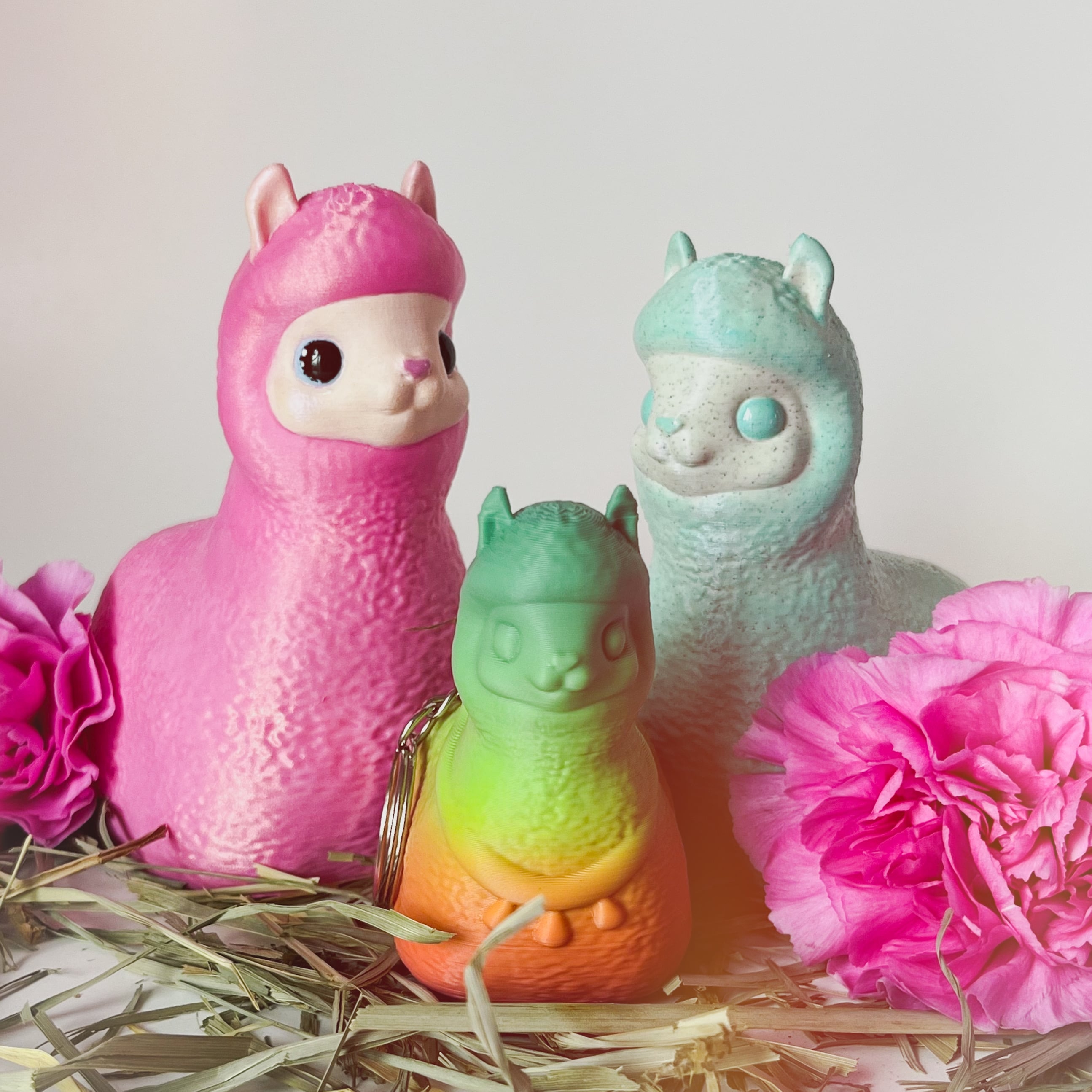 Alpaca Footling 3d model