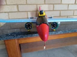 Lidl RC Glider Twin EDF (737 MINI) 3d model