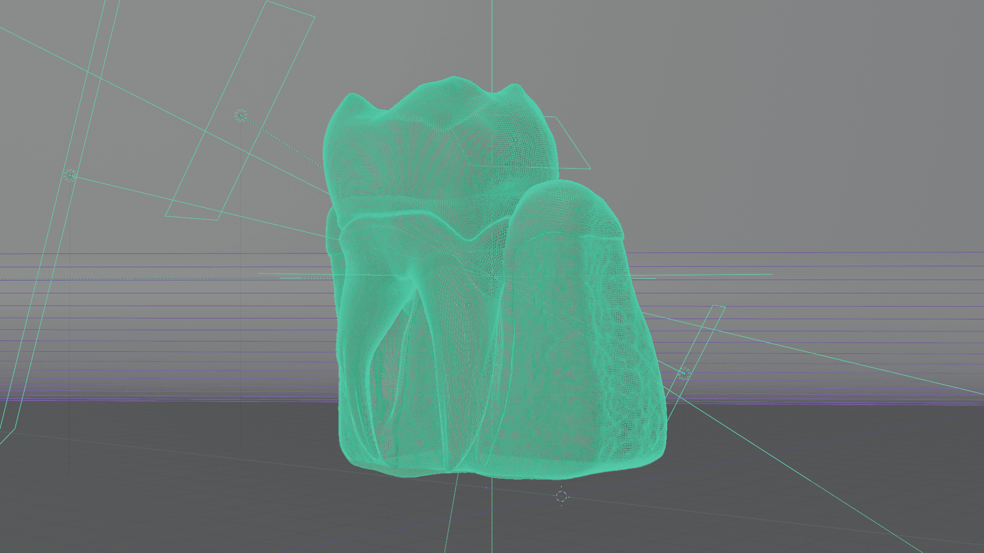 Tooth Cross Section 3d model