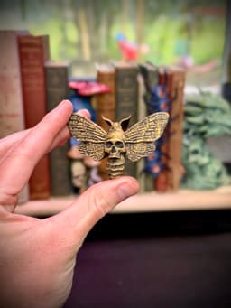 Skull moth drawer pull 3d model