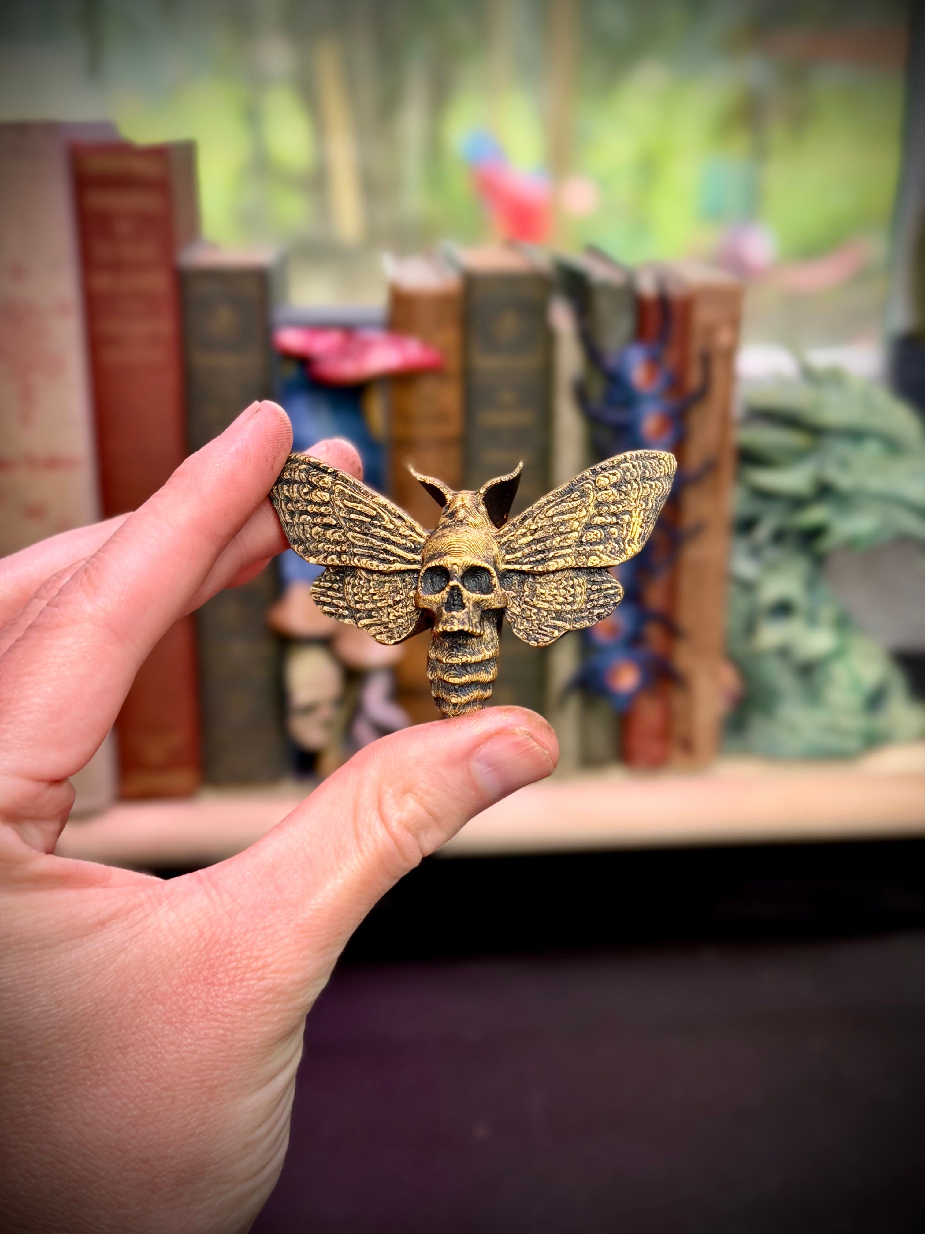 Skull moth drawer pull 3d model