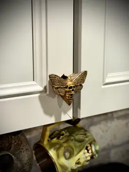 Skull moth drawer pull 3d model