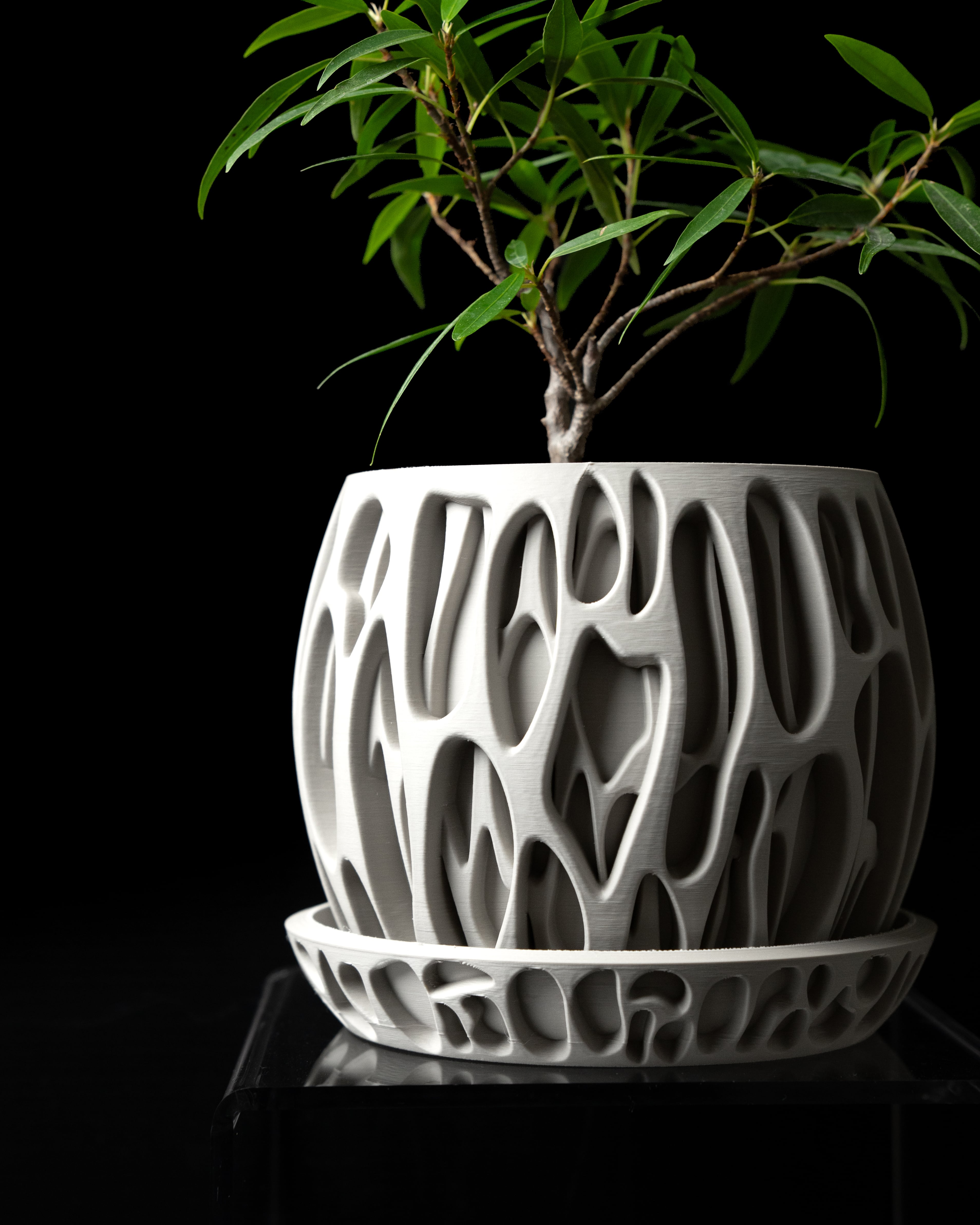 Slime Planter Pot by MODERN MACHINE 3d model