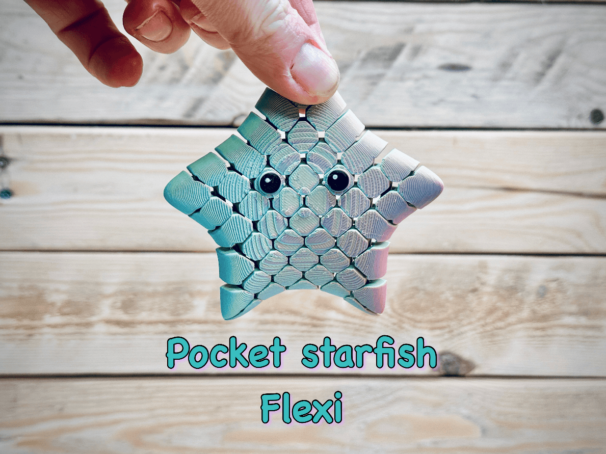 Pocket Starfish Flexi 3d model