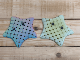 Pocket Starfish Flexi 3d model