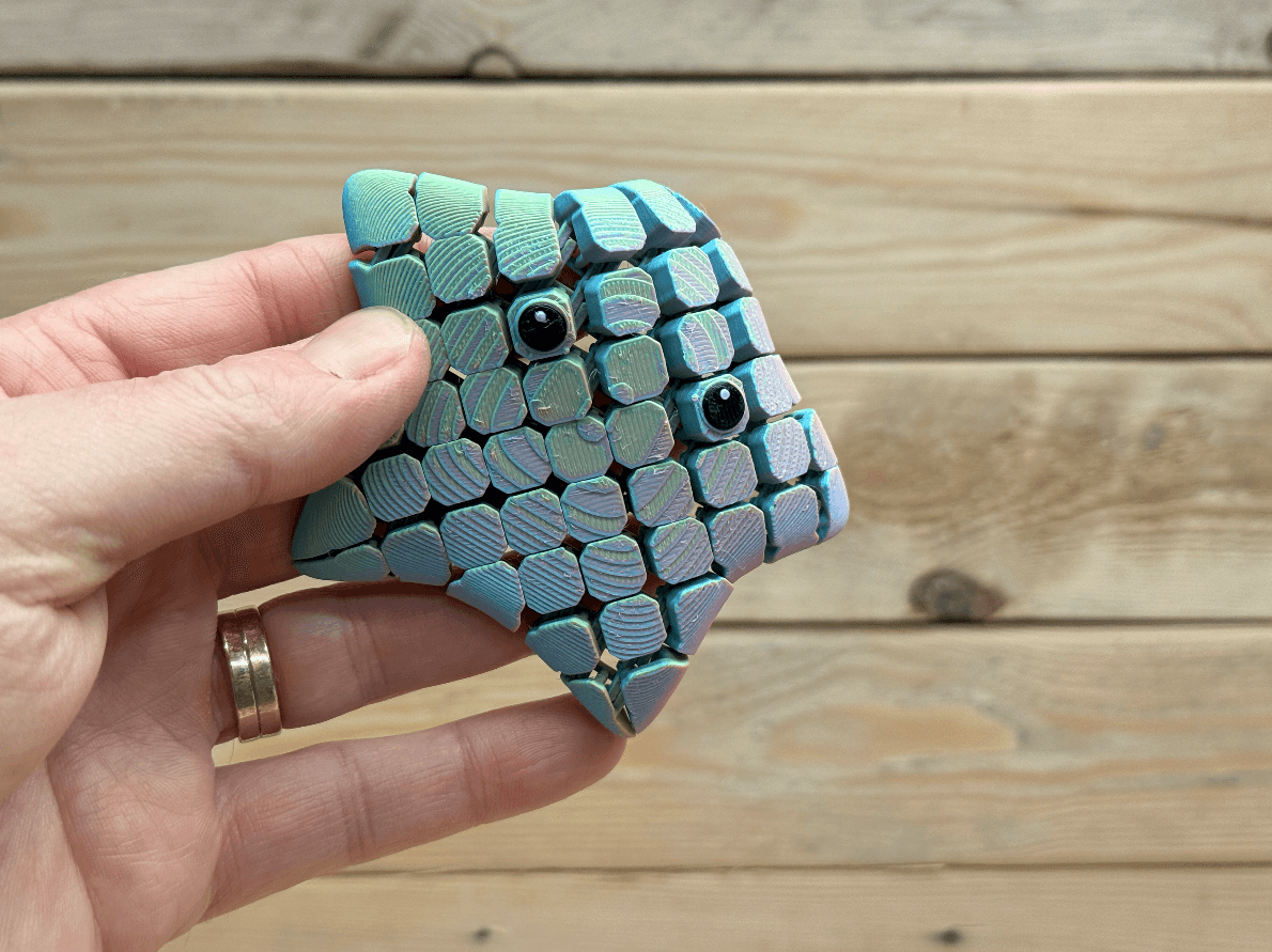 Pocket Starfish Flexi 3d model
